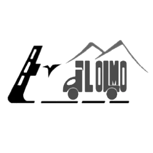 Logo de Logística del Olmo, cliente de nuestra agencia de marketing digital de CDMX.